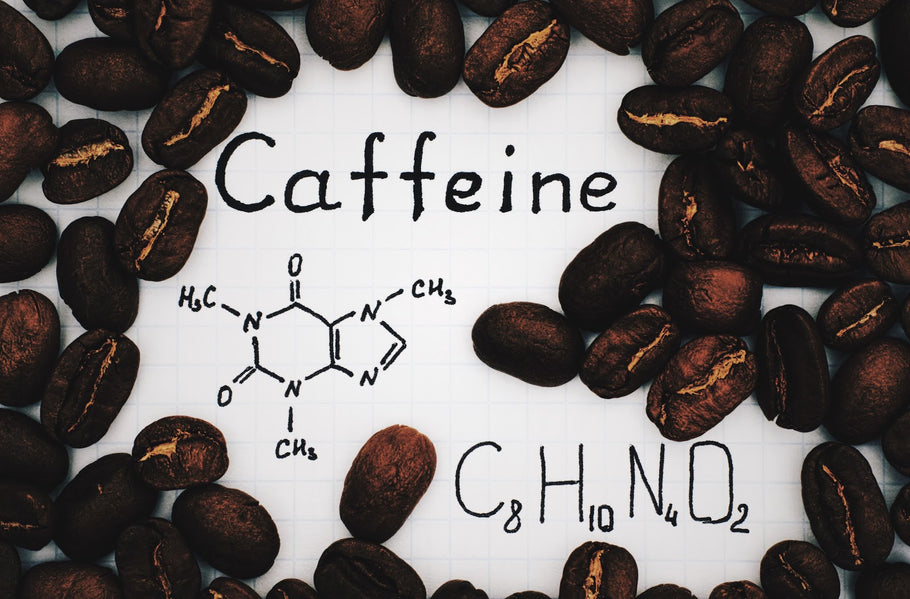 How Caffeine Actually Affects Your Brain and Body